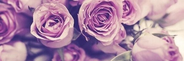 MargoMart Profile Banner