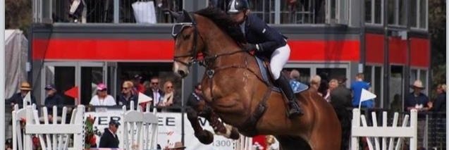 Equine_Image's profile banner image