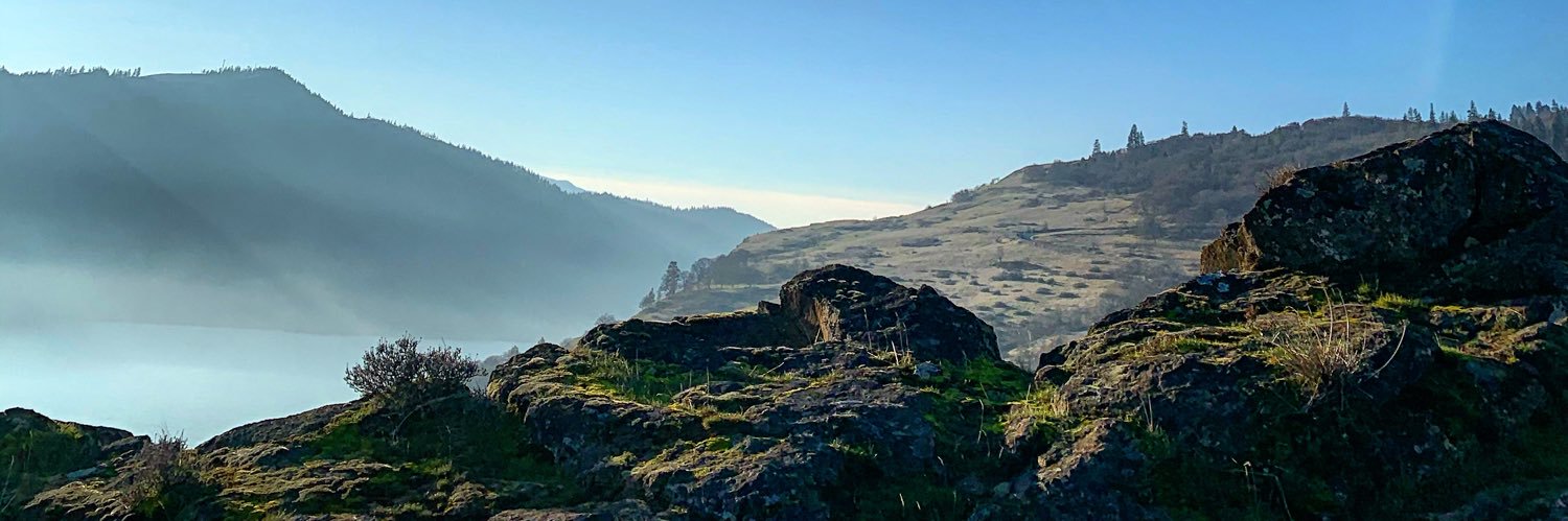 Steve Fogarty banner