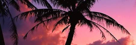TrtrWtr's profile banner image