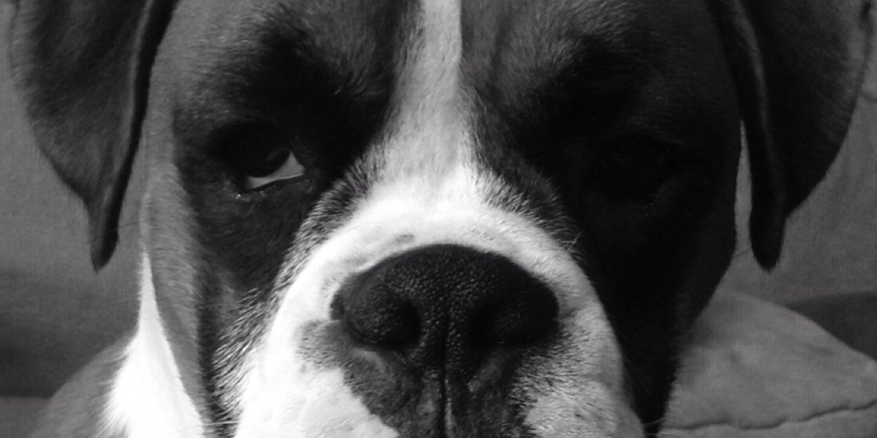 Deb banner