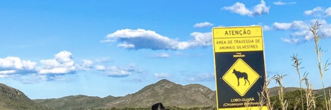 Roger banner