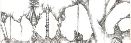 felipe valdes budge banner