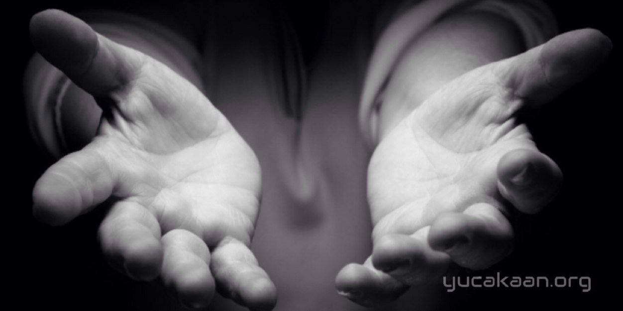 yucakaan's profile banner image