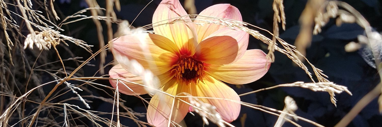 SmythWithaY's profile banner image