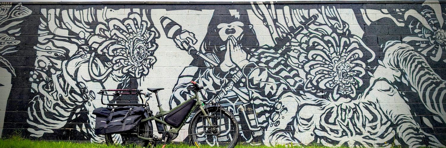 Wanton and furious cycling banner