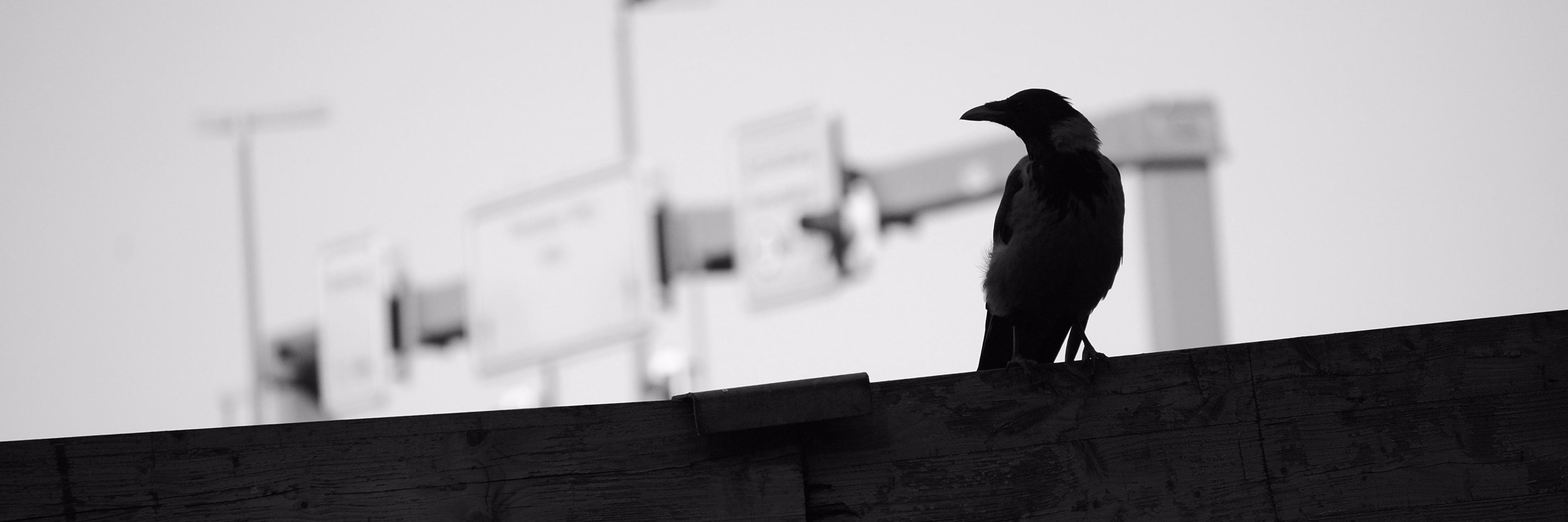 berlin_streets's profile banner image
