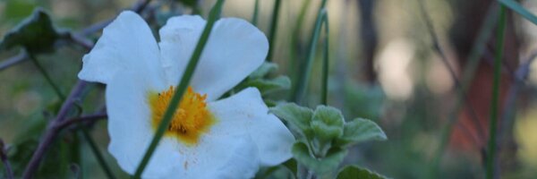 Estherdfer Profile Banner