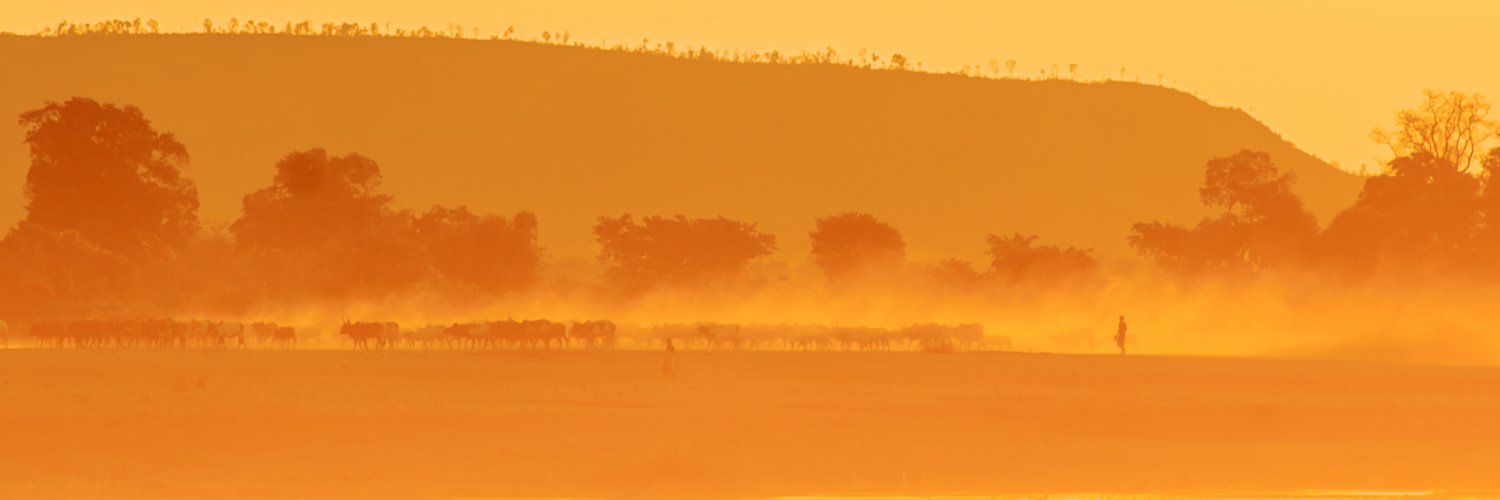 lahimena's profile banner image