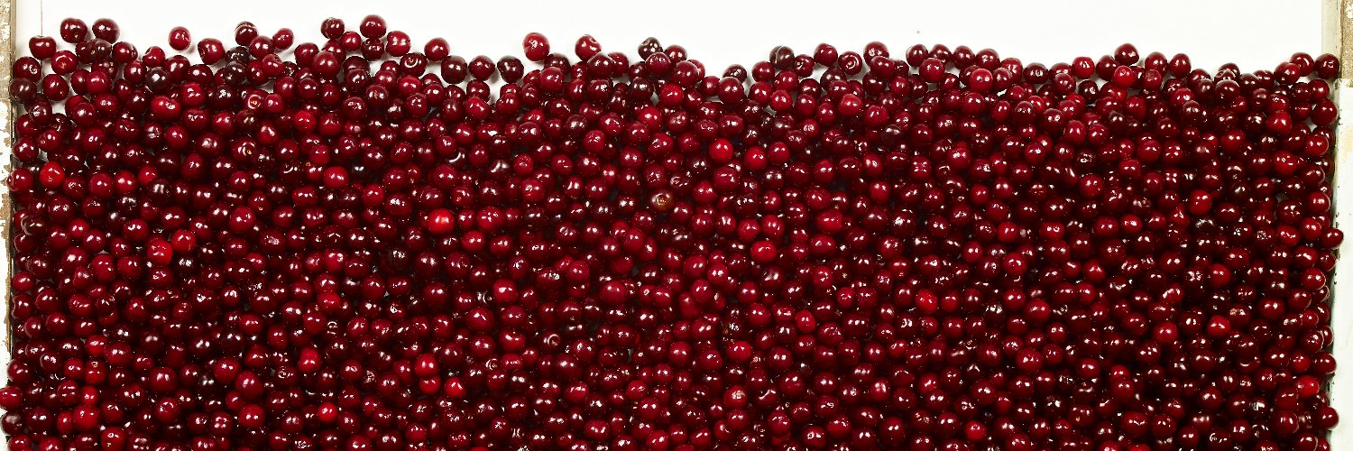 PicotaCherries's profile banner image