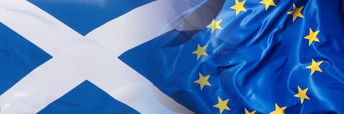 Ross Gray8 banner