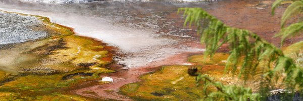 KatieField4 Profile Banner