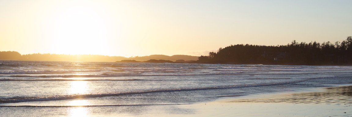 gilliancarleton's profile banner image