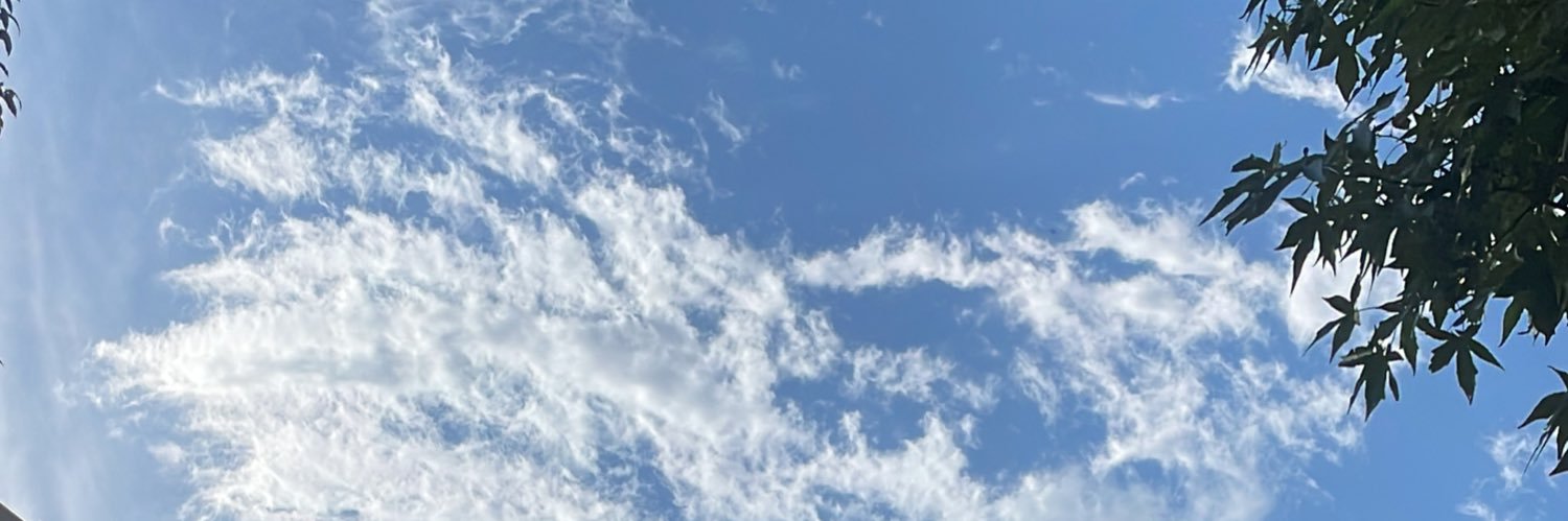 723bell's profile banner image