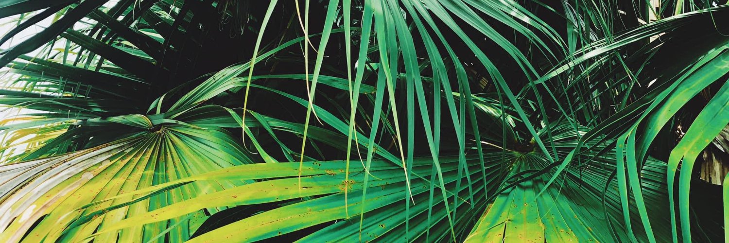 AllisonMBarclay's profile banner image