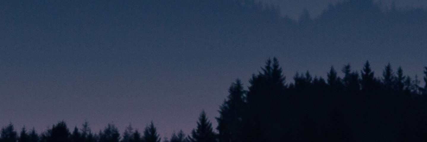 prismaticperry's profile banner image
