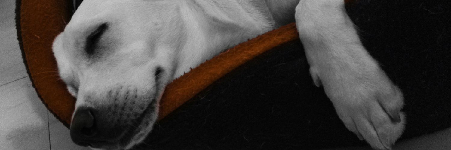 push2304's profile banner image