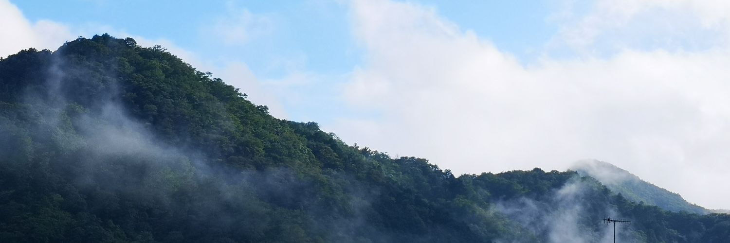gon_windmill's profile banner image