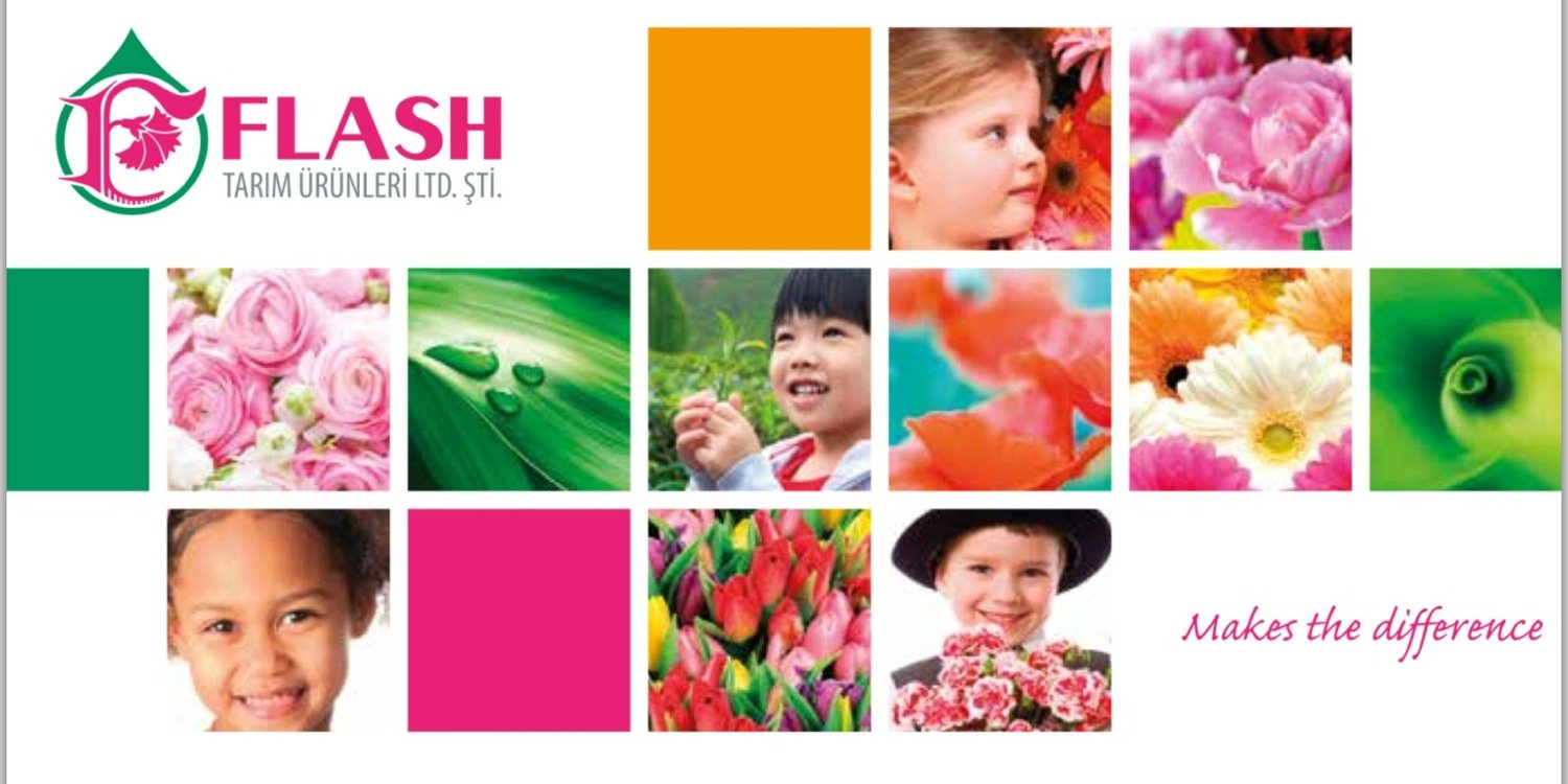 FlashFlower's profile banner image
