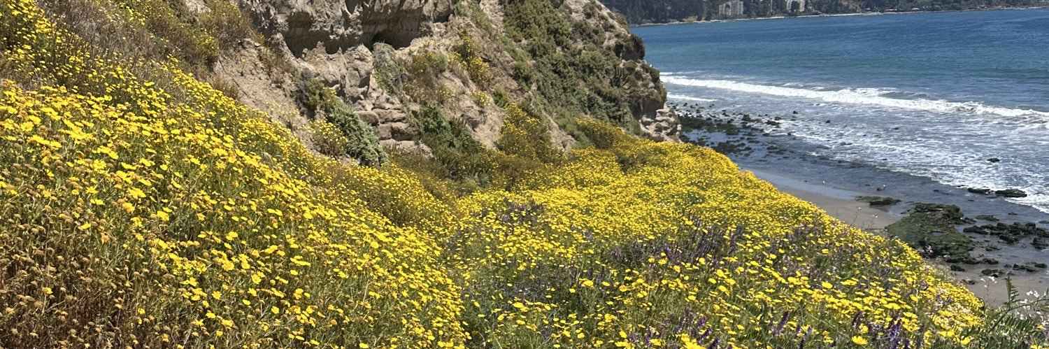 𝚄𝚗𝚍𝚊𝚗𝚒𝚎𝚕𝚖𝚊́𝚜 🐡 banner