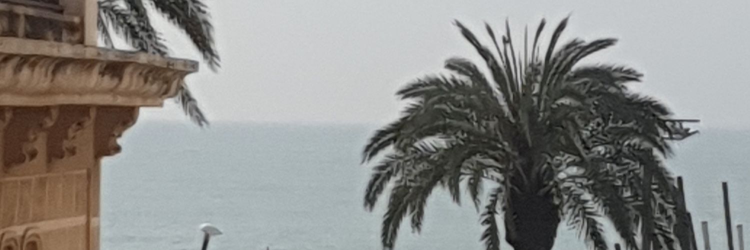 Javier Iborra banner