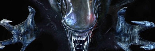 Lionourras's profile banner image