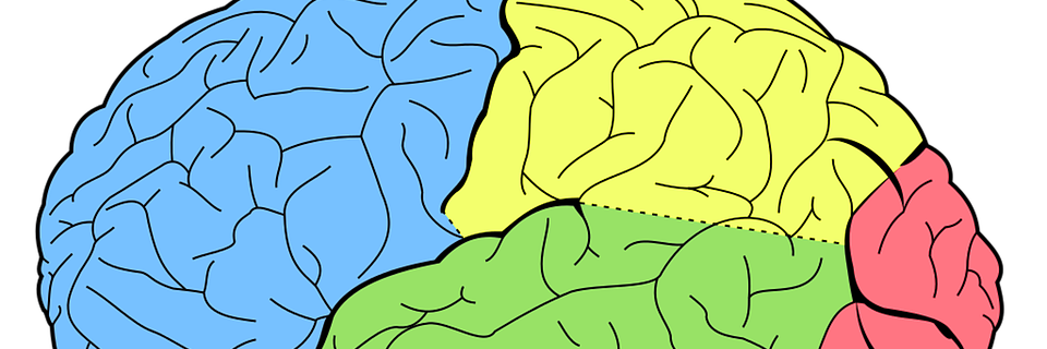 UCLCDCN's profile banner image