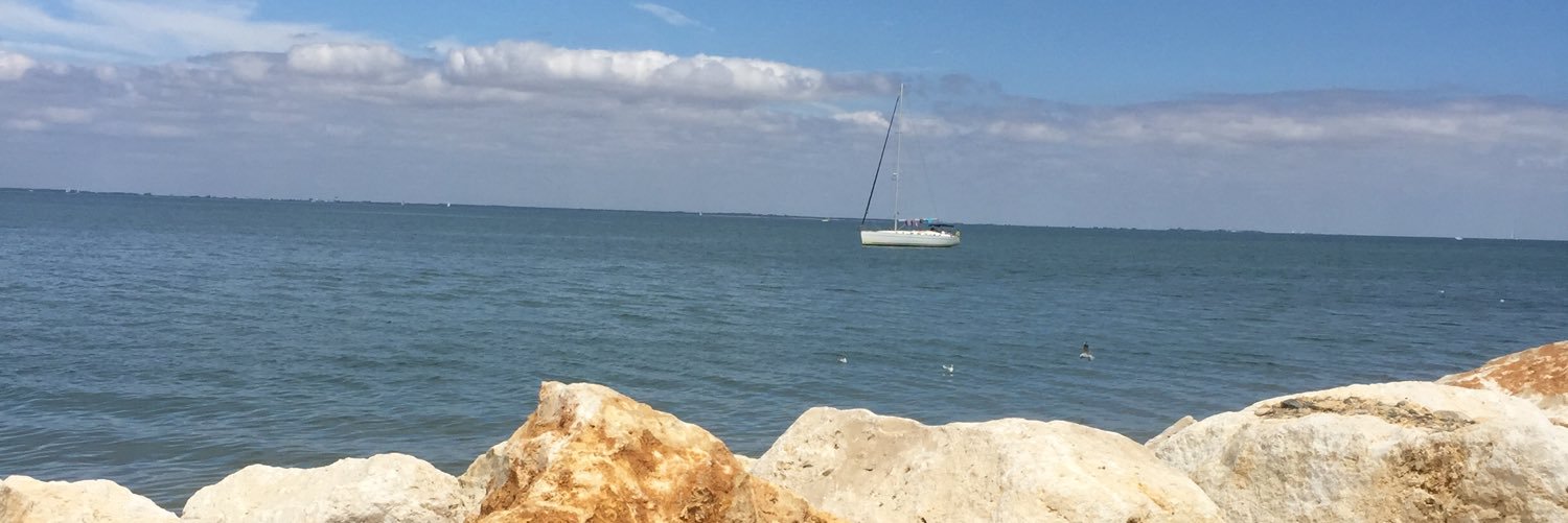 Cécile Mérine banner