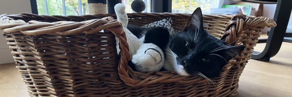 FlorianGathmann Profile Banner