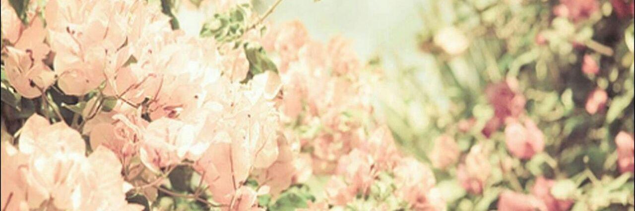 BanfiLoli's profile banner image