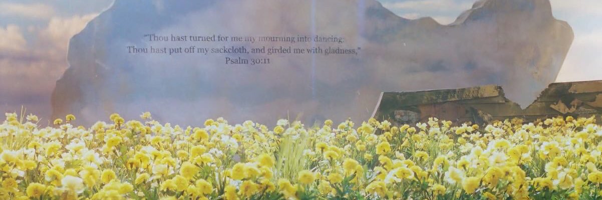 pikkiemoogrob's profile banner image