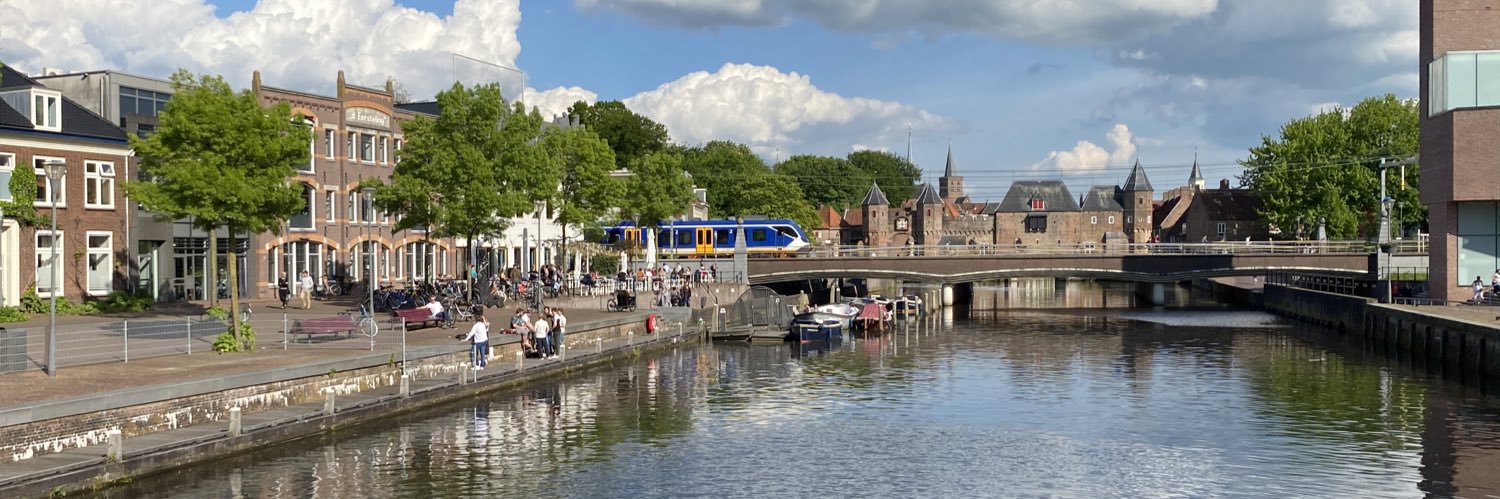 Roald van der Linde banner