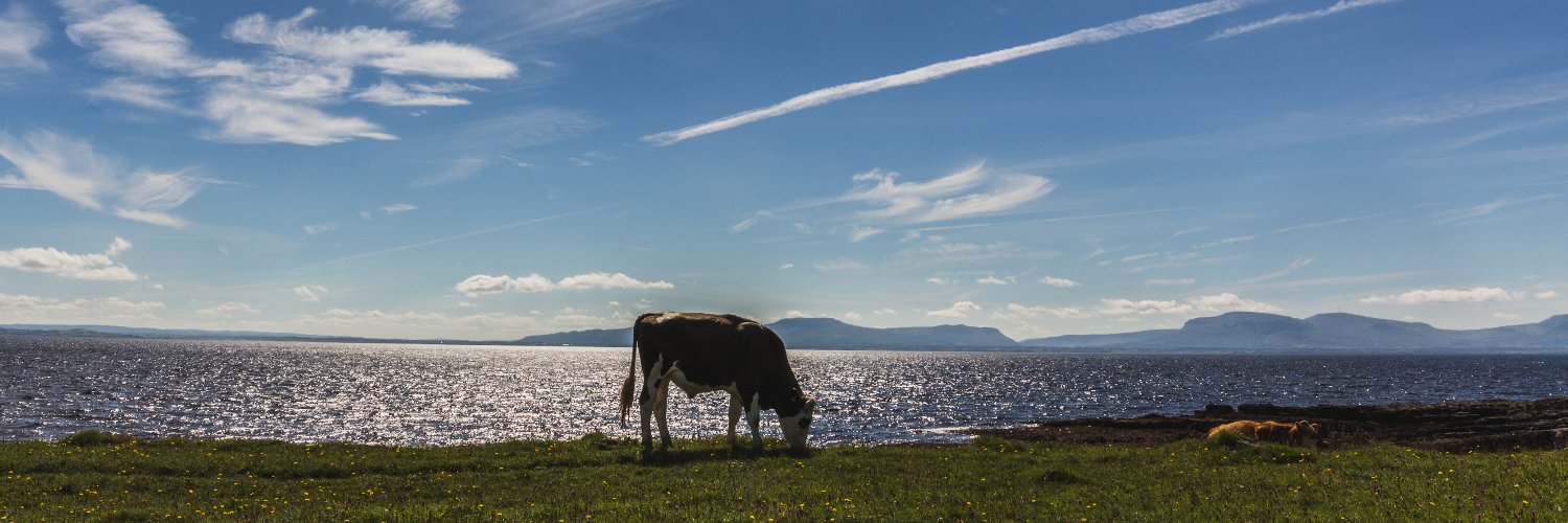 Grass-Fed Whey Protein banner