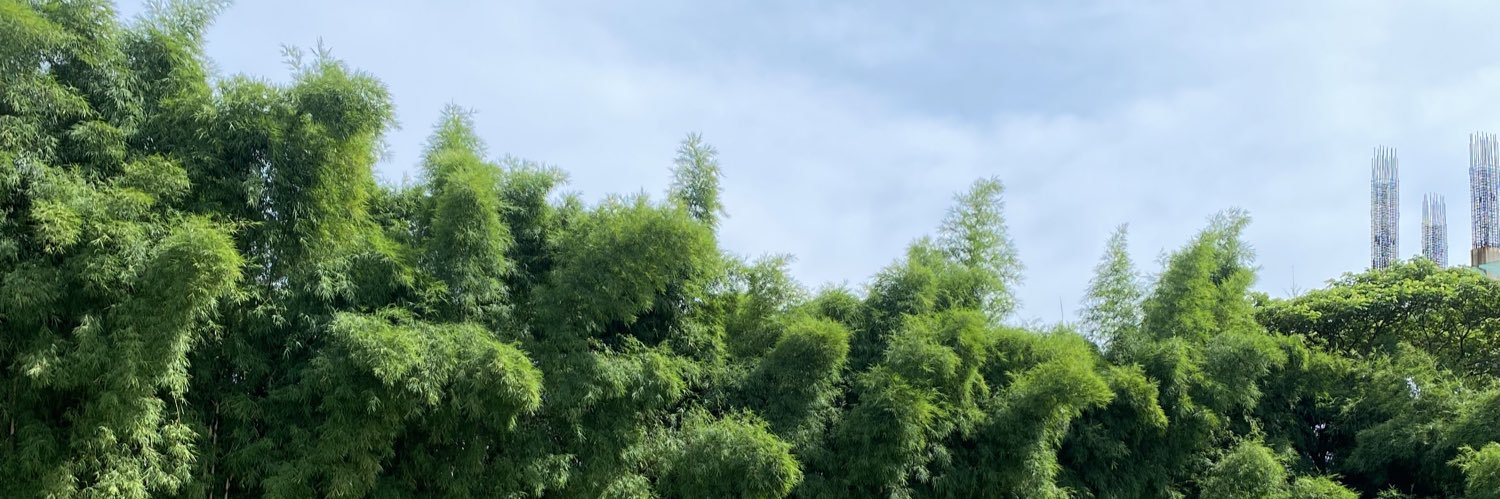 nannaaap's profile banner image