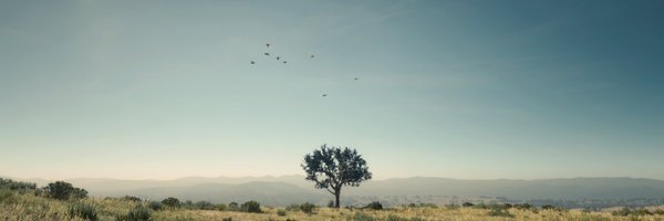 DarkLinkN7 Profile Banner