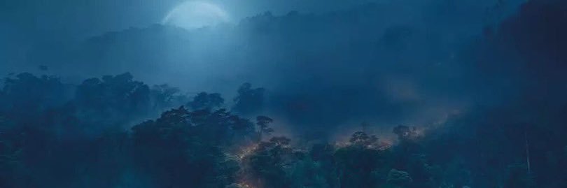(B: A: N: D :A :R) banner