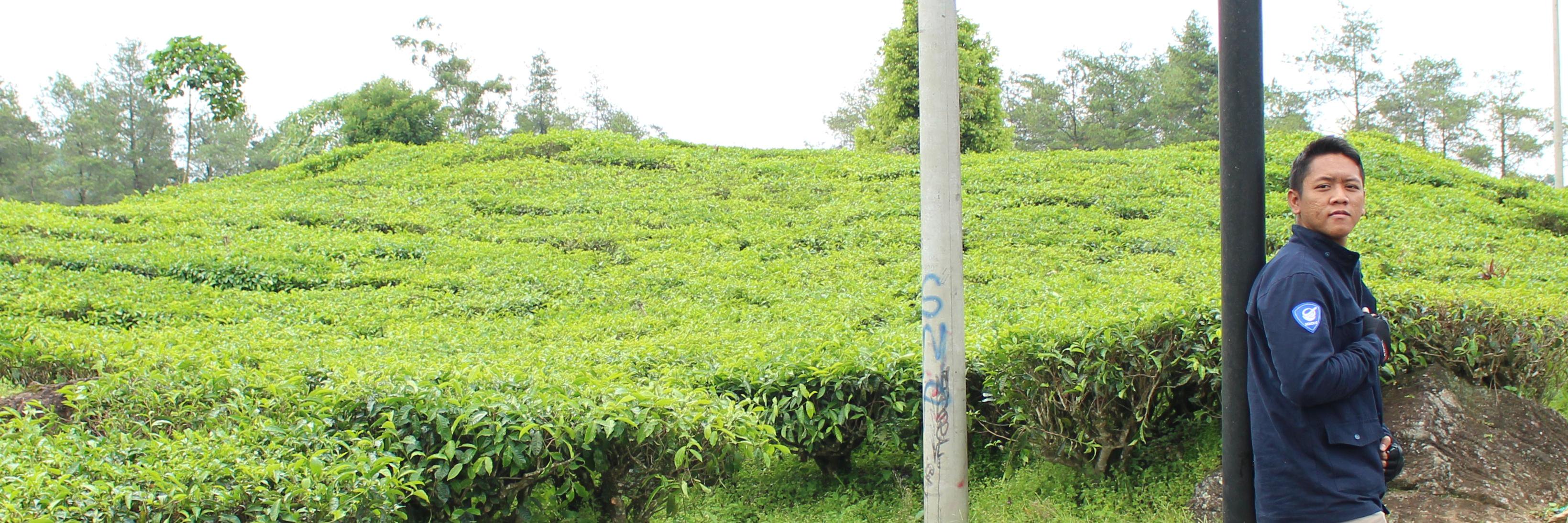 ilam_apua's profile banner image