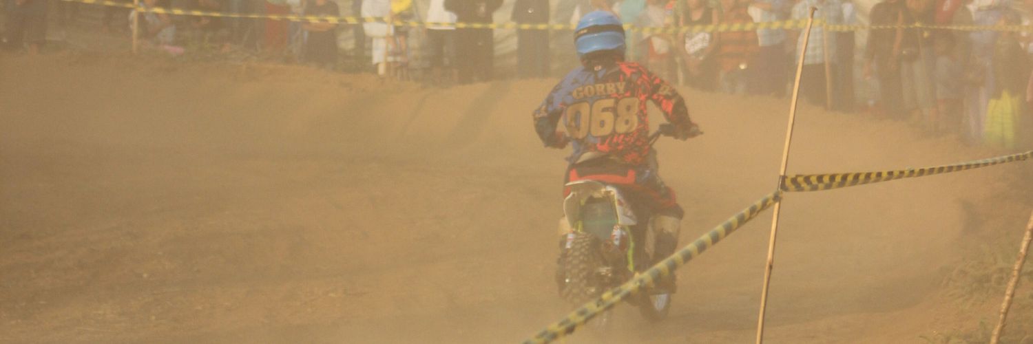 gorby_onca's profile banner image
