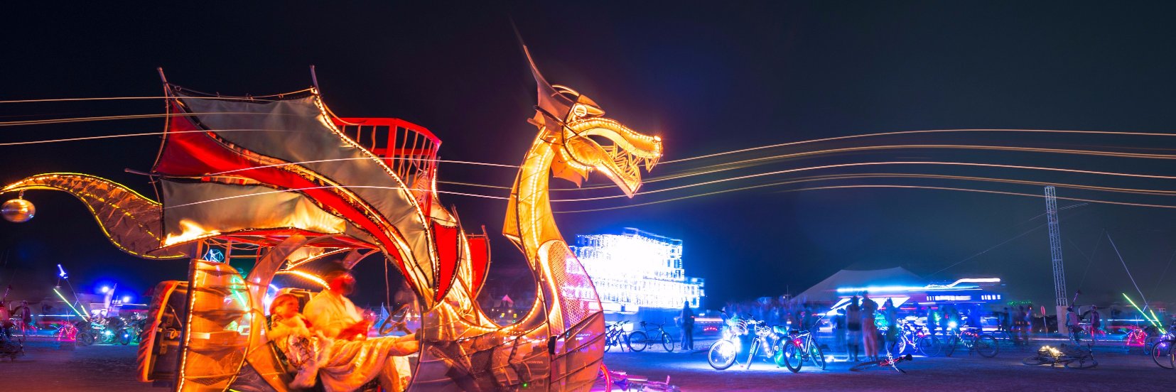 Mia Quagliarello banner