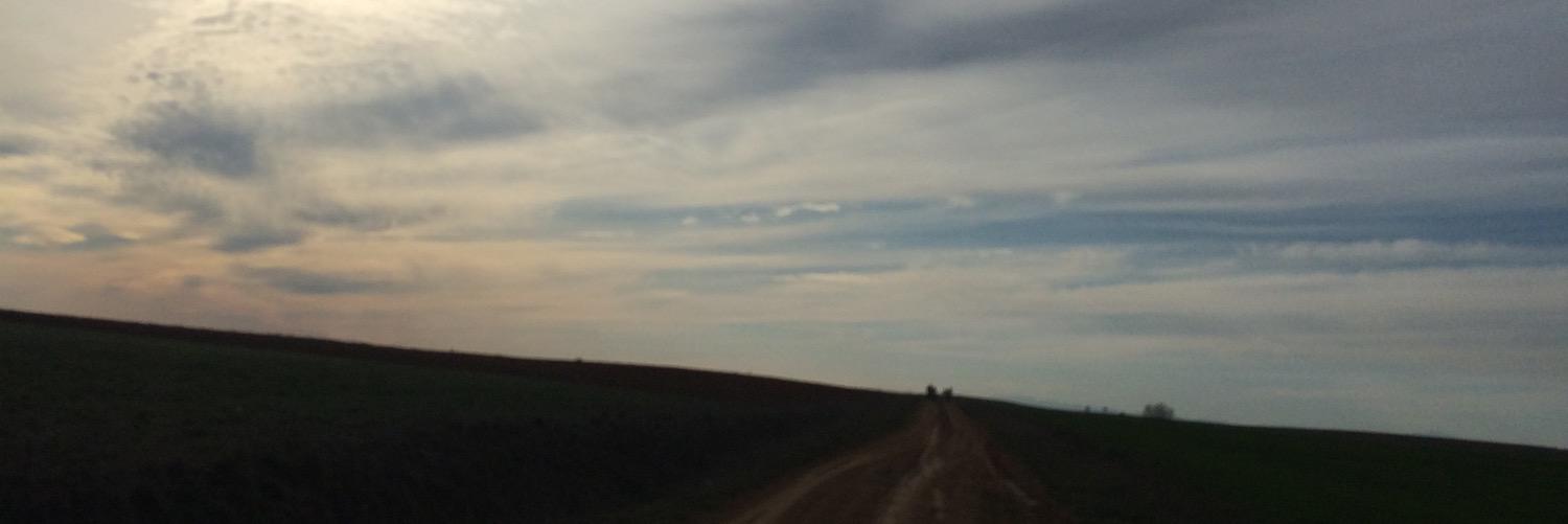 ANA FERMOSO GARCÍA banner