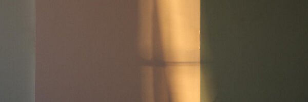 pisaniferry Profile Banner