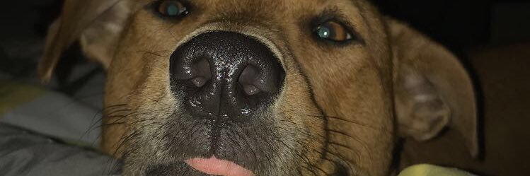 itstheblonde1's profile banner image