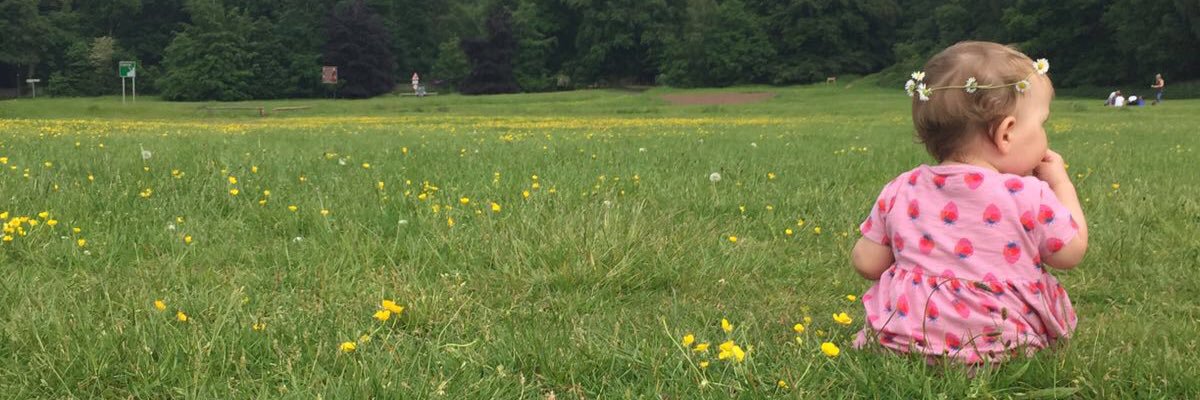ChrisMellins's profile banner image