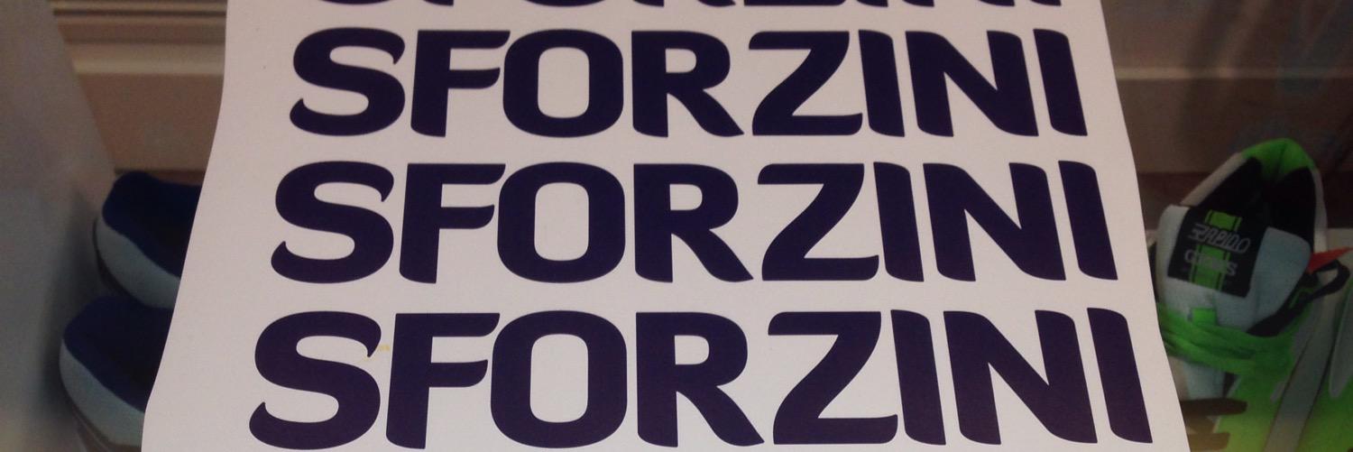FSforzini32's profile banner image