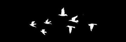 GΛᄂΛᄂ banner