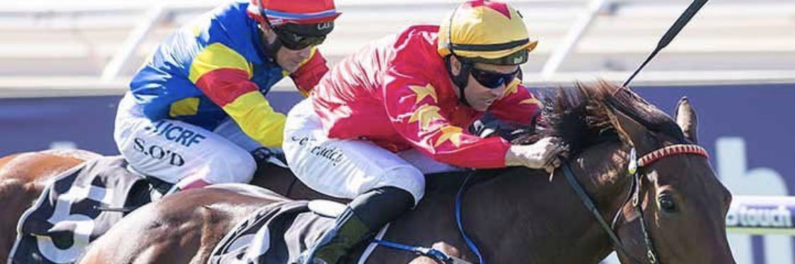 Shaun McGruddy banner