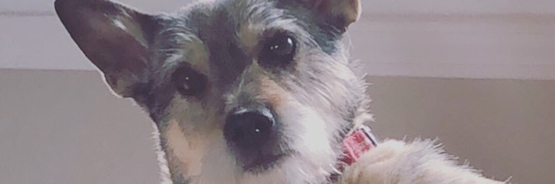 Kelrua's profile banner image