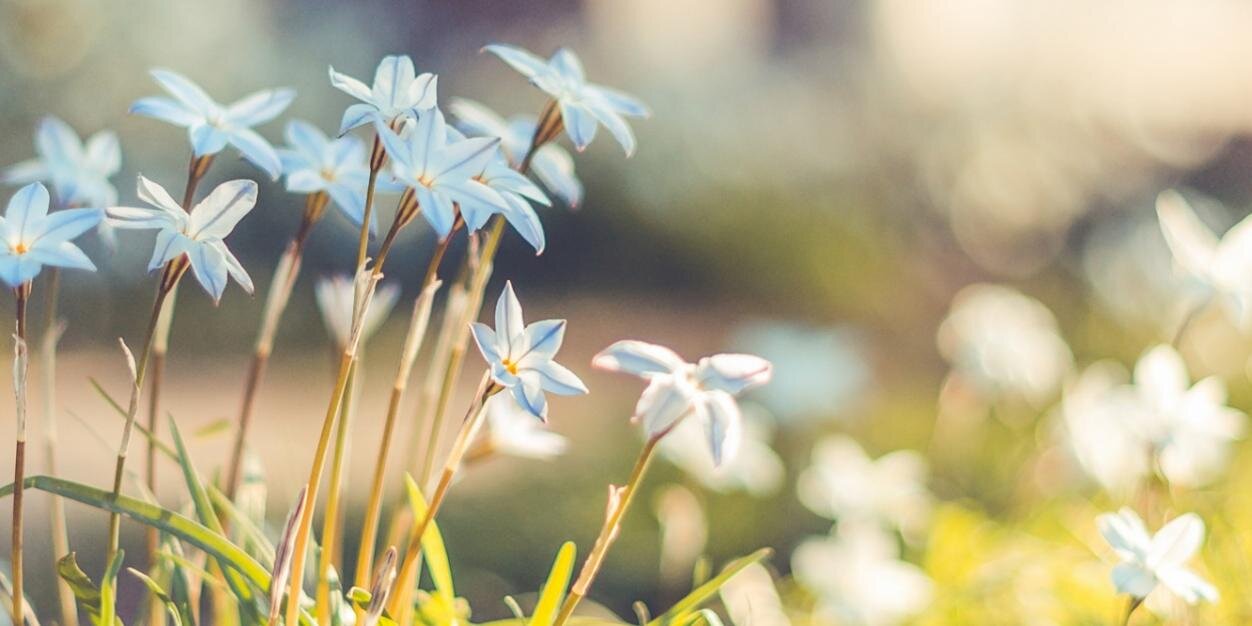 Tanyusilla's profile banner image