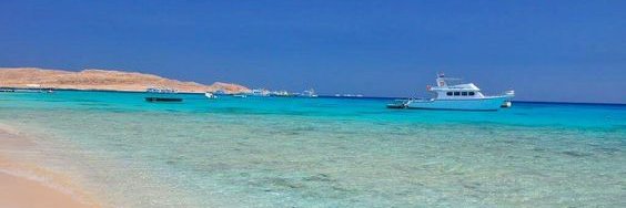 جالا حمزة banner