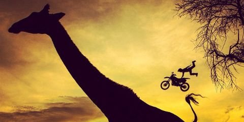 diegocandelas's profile banner image